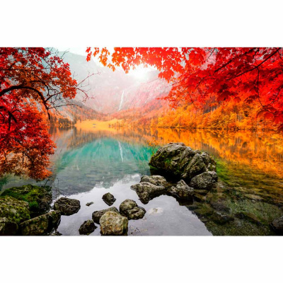 Картина по номерам Краски осени 40х50 см 30 цветов Рыжий кот Х-4620 1